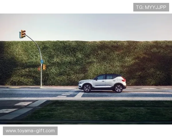 丹麦规划2030年实现碳中和,助力全球可持续发展目标的最新动态分析 丹麦规划2030年实现碳中和,助力全球可持续发展目标的最新动态分析