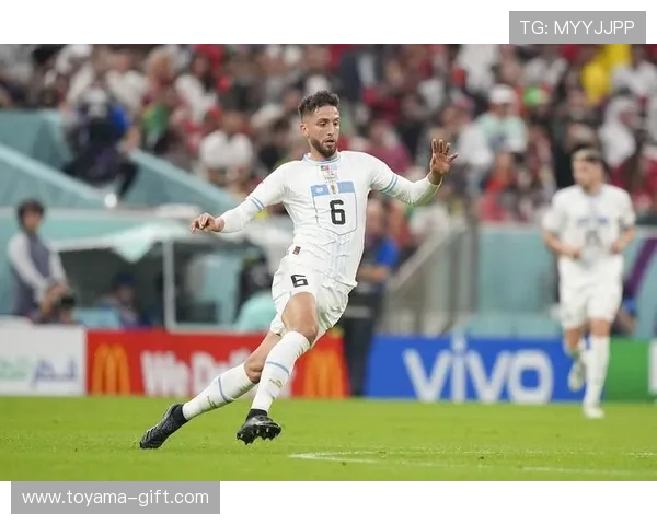 本坦库尔世界杯表现 本坦库尔世界杯表现